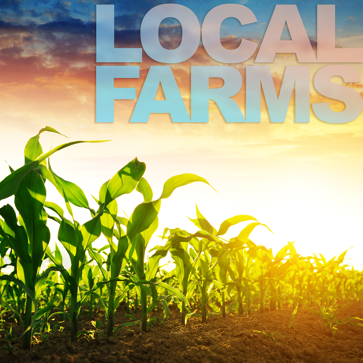 Pacific Rim Produce, Whole Sale Produce Delivery Service